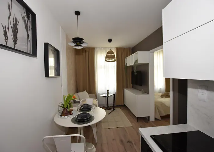 K Netflix Wi-fi Gratis Apartment Waldenburg